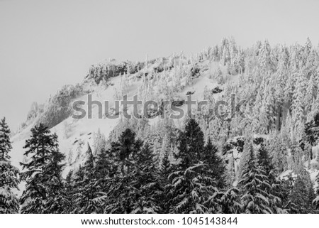 Crater Lake Oregon Mountain Forest Snow Winter Icy Lake Photographs