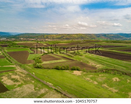 Aerial view of healthy green crops in patchwork pasture farmland, rural view