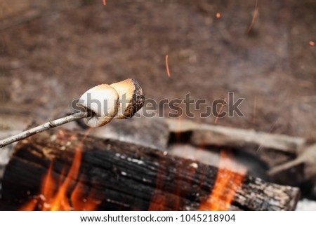 Two toasted marshmallows on a stick over a bonfire at the camp grounds.