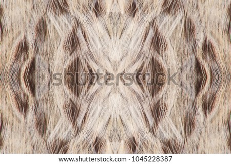 Abstract symmetric pattern of feathers of wild duck close-up as background. Macro of the brown feathers of a duck. An ornamental surreal tracery of bird feathers. The image with mirror effect.