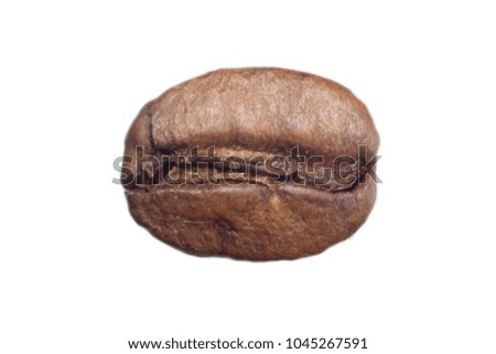 Macro photo of roasted coffee bean. Furrow in the middle. On a white background. Photo for the site about food, drinks, health, business.