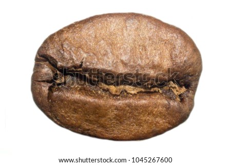 Macro photo of roasted coffee bean. Furrow in the middle. On a white background. Photo for the site about food, drinks, health, business.