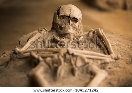 human skeleton remains Close-up of human remains in soil dig Royalty-Free Stock Photo #1045271242