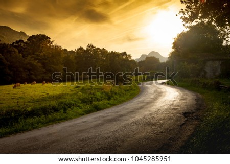 Winding country road at sunset in Asturias, Spain. Color shift by intent.