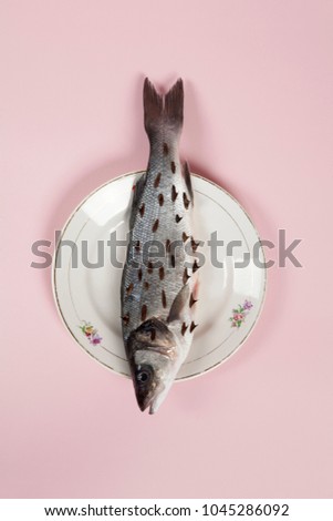 A bass fish with rosebush, thorns in a flower plate hidden on a vibrant pink background. Game and diversion. Minimal color still life photography.
