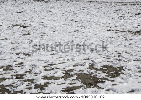 snow on the beach, background