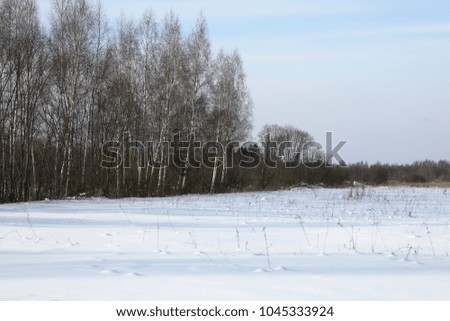 Winter landscape with snow field in countryside and trees on horizon.