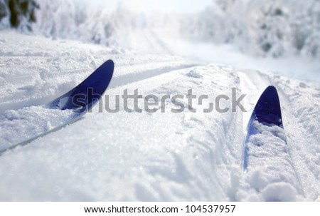Cross Country Ski Royalty-Free Stock Photo #104537957