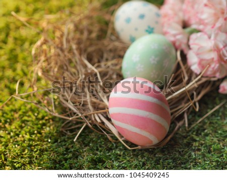 Close up of hand painting Easter eggs with pastel pink color and white stripes on bird nest with other Easter eggs and Spring flowers background with beautiful sunrise light