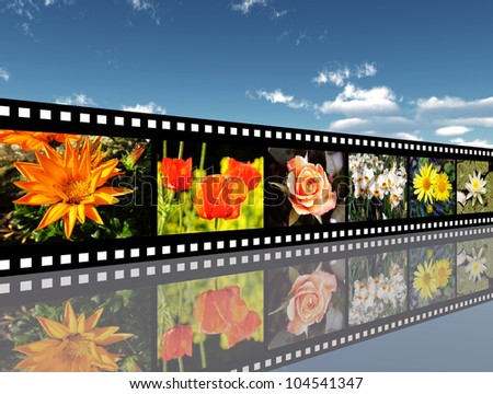 Flower Impressions Computer generated 3D illustration