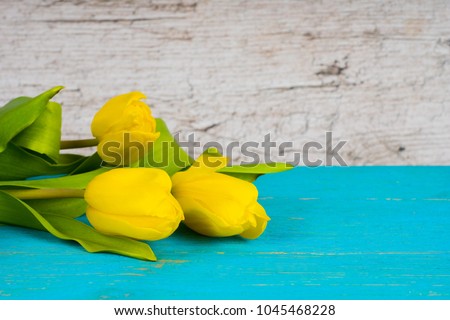 yellow tulips on turquoise wooden table