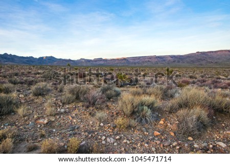 Panoramic picture of Arizona desert at daytime, United States southwest