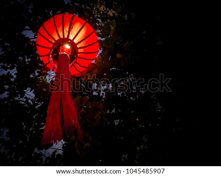 Red Chinese lantern hanging on the branches of tree in the night of winter season for decorate new year festival.