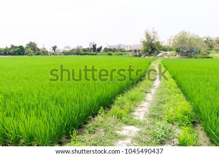 A beautiful farmland picture.Wide angle shot.Taiwan landscape. Royalty-Free Stock Photo #1045490437