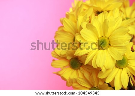 Banner theme background of yellow flowers
