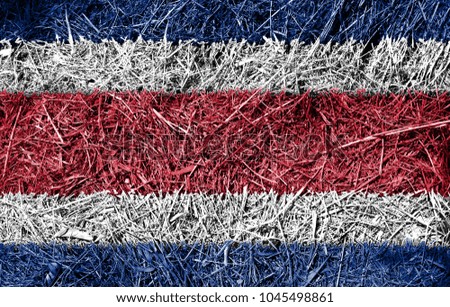 Costa Rica flag on dry grass texture