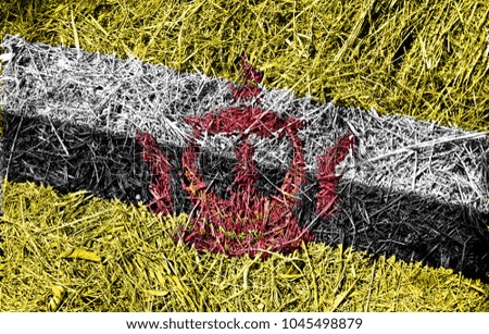 Brunei flag on dry grass texture