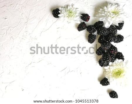 BlackBerry with the colors of chrysanthemums on a white textured background