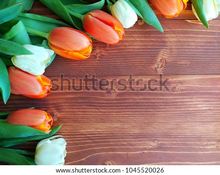 Red and yellow tulips on brown wooden table background.