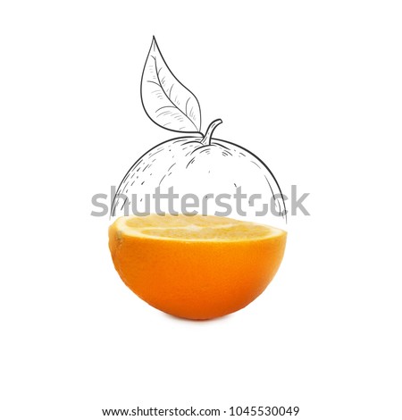 Fruit composition with fresh orange and cartoon cute doodle drawing half orange with leaf on white background. Creative minimalistic food concept. Royalty-Free Stock Photo #1045530049