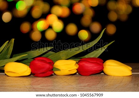 Beautiful red and yellow tulips lie on wooden boards on a shiny background