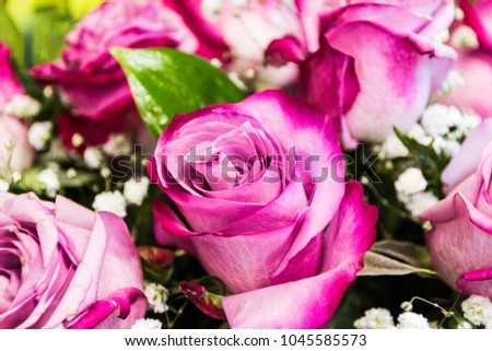 Bouquet of pink roses, background