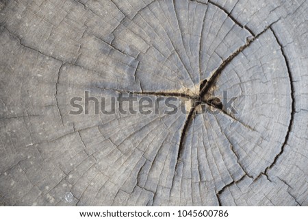 a cracked on a stump. 