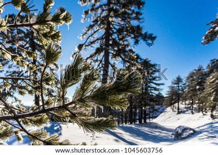 Troodos is the largest mountain range in Cyprus, located in roughly the center of the island. Its highest peak is Mount Olympus, also known as Chionistra at 1,952 meters, which hosts four ski slopes.