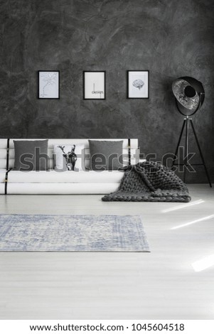 Large, gray, chunky, knit blanket on a white paper tubes sofa in a minimalist apartment interior with dark walls and white wooden floors