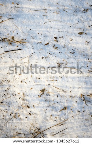 hay dry grass on snow track vertical