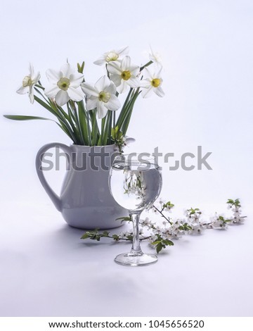 Spring still life with flowers on the white background