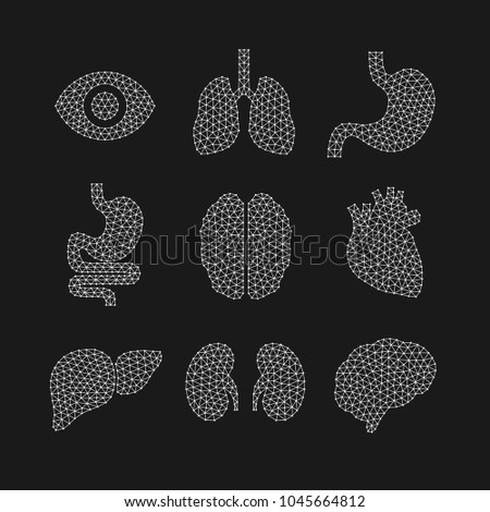 Set of vector illustrations of human organs.