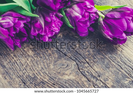 Ultraviolet tulip flowers on old rustic wooden table with place for text. Bouquet of purple spring tulips. Happy Mother's Day. International Women's Day greetings card. Copy space. Top view.