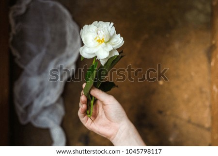 peonies - a flower to hold in hand
