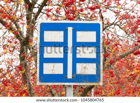 Parking sign in the park on red ashberry background