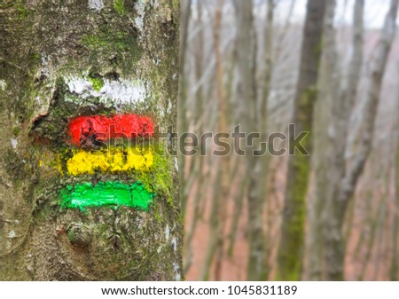 Road signs for walkers in the forest of the Aiako Harriak natural park (PeÃ?Â±as de Aia)