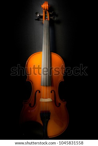 Dark tone of violin standing on fabric.