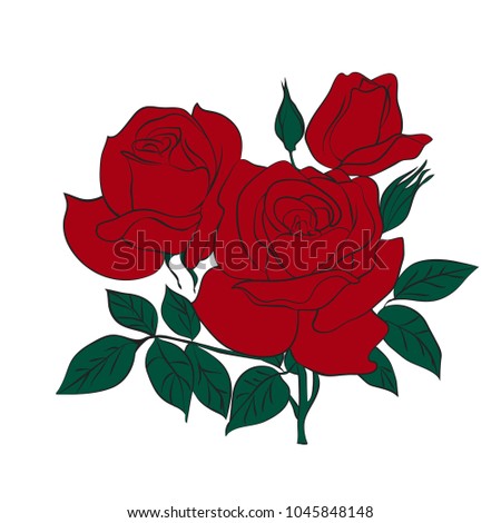 bouquet of red roses isolated on white background. Vector illustration.