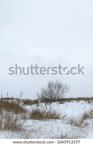 Snowy dunes in the winter day by the Baltic sea, Riga, Latvia. Copy space