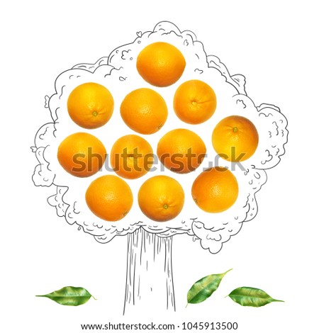Fruit composition with fresh orange and cartoon cute doodle drawing tree on white background. Creative minimalistic food concept. Royalty-Free Stock Photo #1045913500