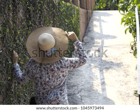 Tourist with wide hat is standing beside the plant wall in the hot sunny day