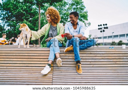 Smiling african american friends enjoying free time together playing with lovely dog,young dark-skinned girl petting akita inu resting on weekends in park while her boyfriend showing picture in mobile