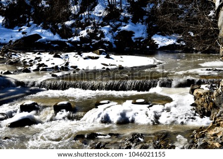 Frozen Creek In The Forest