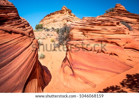 Amazing red rock stripe formation in South Coyote Buttes, Arizona, The Wave. Curved red sandstone rocks. Parya Canyon Vermillion Cliffs, Coyote Buttes Wilderness. National Park, USA.