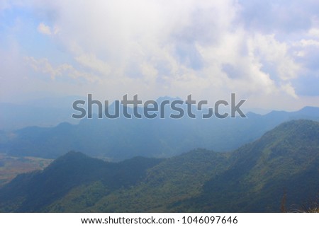 Landscape of Forest  and high valley in northern Thailand.(Phu Chi fa National Park, Chiang Rai Province, Thailand)