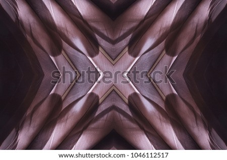 
Abstract symmetric pattern of feathers of wild duck close-up as background. Macro of the brown feathers of a wild duck. An ornamental surreal tracery of bird feathers. The image with mirror effect.