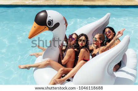 Group of friends on vacation sitting together on an inflatable swan in swimming pool. Multi-ethnic women friends enjoying on a inflatable white swan in pool.