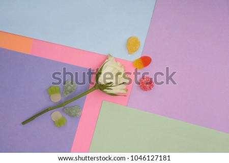 Composition with roses and chewing sweets isolated on a multi-colored background