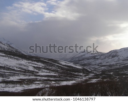 Zone of the tundra in the Altai Mountains. Choya district. Russia