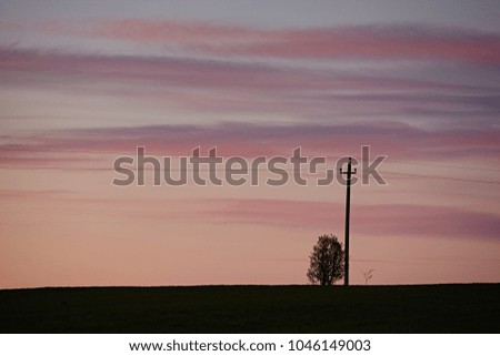 One electric pole with wires and a tree on the horizon line. The evening landscape and the setting sun are purple.